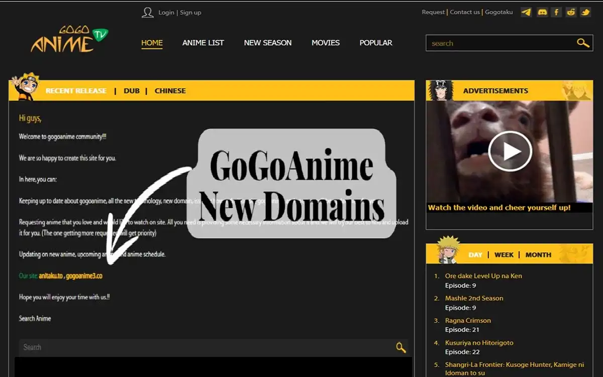 GoGoAnime New Domain