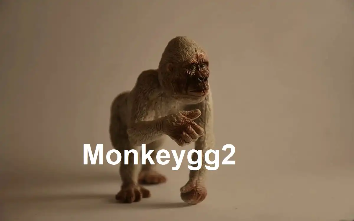 monkeygg2